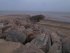 [Stone Groyne]