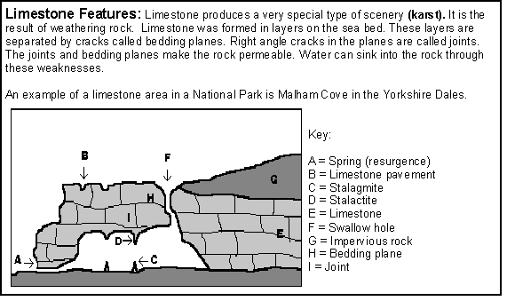 [limestone revision card]